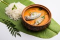 Spicy Fish curry - popular Indian seafood served with rice Royalty Free Stock Photo