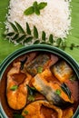 Spicy Fish curry - popular Indian seafood served with rice Royalty Free Stock Photo