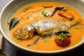 Spicy Fish curry - popular Indian seafood served with rice Royalty Free Stock Photo