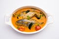 Spicy Fish curry - popular Indian seafood served with rice Royalty Free Stock Photo