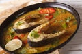 Spicy fish curry with vegetables close-up on a plate. horizontal Royalty Free Stock Photo
