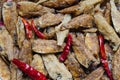 Spicy Flavored Fried Fishes for Appetizer Eating.