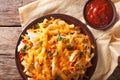 Spicy french fries with cheddar cheese, chili pepper and chicken