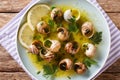 Spicy French snails, escargot cooked with butter, parsley, lemon Royalty Free Stock Photo