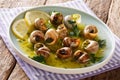 Spicy French snails, escargot cooked with butter, parsley, lemon