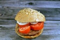 spicy fried beef burger cooked in a boiling shallow oil with slices of tomatoes and onions in an oat brown bun topped with oats Royalty Free Stock Photo