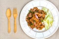 Spicy fried chicken salad Royalty Free Stock Photo