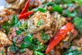 Spicy Frog with basil leaves