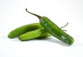 Spicy green serrano pepper Royalty Free Stock Photo