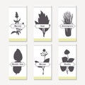 Spicy herbs silhouettes collection. Hand drawn hyssop, sage, lemongrass, kaffir lime, borage, perilla