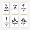 Spicy herbs silhouettes collection. Hand drawn mint, melissa, stevia, lavender, lovage, chervil