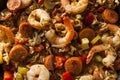 Spicy Homemade Cajun Jambalaya Royalty Free Stock Photo