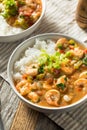 Spicy Homemade Cajun Shrimp Etouffee Royalty Free Stock Photo