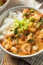 Spicy Homemade Cajun Shrimp Etouffee Royalty Free Stock Photo