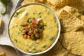 Spicy Homemade Cheesey Queso Dip