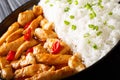Spicy homemade chicken panang curry with rice and green onion cl Royalty Free Stock Photo