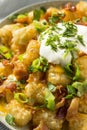 Spicy Homemade Loaded Taters Tots