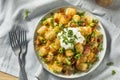 Spicy Homemade Loaded Taters Tots