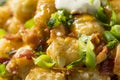 Spicy Homemade Loaded Taters Tots