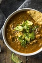 Spicy Homemade Tortilla Soup Royalty Free Stock Photo