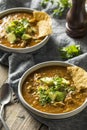 Spicy Homemade Tortilla Soup Royalty Free Stock Photo