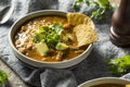 Spicy Homemade Tortilla Soup Royalty Free Stock Photo