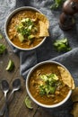 Spicy Homemade Tortilla Soup Royalty Free Stock Photo