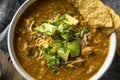 Spicy Homemade Tortilla Soup Royalty Free Stock Photo