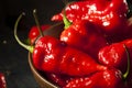 Spicy Hot Bhut Jolokia Ghost Peppers