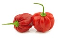 Spicy hot red habanero peppers Royalty Free Stock Photo