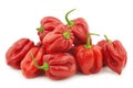 Spicy hot red habanero peppers Royalty Free Stock Photo