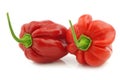 Spicy hot red habanero peppers Royalty Free Stock Photo