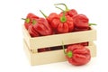 Spicy hot red habanero peppers in a wooden box Royalty Free Stock Photo