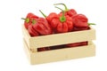 Spicy hot red habanero peppers in a wooden box Royalty Free Stock Photo