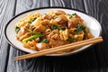 Spicy hot Thai noodles with chicken, Chinese broccoli and egg close-up on a plate. horizontal Royalty Free Stock Photo