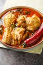 Spicy Indian Malvani Chicken Curry closeup on the bowl. Vertical Royalty Free Stock Photo