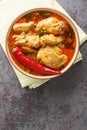 Spicy Indian Malvani Chicken Curry closeup on the bowl. Vertical top view Royalty Free Stock Photo