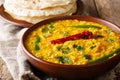 Spicy Indian thick soup Dal Tadka is a popular North Indian recipe close up in a bowl. Horizontal Royalty Free Stock Photo