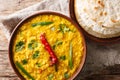 Spicy Indian thick soup Dal Tadka is a popular North Indian recipe close up in a bowl. horizontal top view Royalty Free Stock Photo