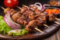 Spicy Kebab with Succulent Meat and Tasty Onions on a Skewer