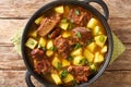 Spicy lamb with potatoes stew Aloo Gosht Pakistani cuisine closeup in the pan. Horizontal top view