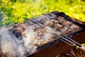 Spicy marinated chicken drumsticks cooking over the flames