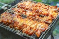 Spicy marinated chicken wings and legs on grill and on a summer barbecue. Royalty Free Stock Photo