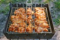 Spicy marinated chicken wings and legs on grill and on a summer barbecue. Royalty Free Stock Photo