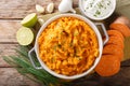 Spicy mashed sweet potato with onion, garlic and lime close-up i Royalty Free Stock Photo