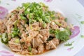 Thai food, Spicy minced pork salad