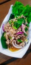 Spicy minced pork salad (Laab) at Thai street food Royalty Free Stock Photo