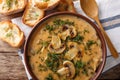 Spicy mushroom soup with fresh dill in a bowl and toast close-up. Horizontal top view Royalty Free Stock Photo