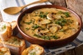 Spicy mushroom soup with fresh dill in a bowl and toast close-up. horizontal Royalty Free Stock Photo