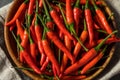 Spicy Organic Red Thai Birds Eye Chilli Peppers